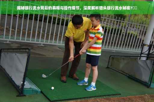 揭秘银行流水背后的真相与操作细节，深度解析猎头银行流水秘密?⚡️