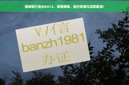 揭秘银行流水BACS，真相揭秘、操作指南与深度解读?