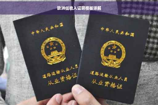 欧洲低收入证明模板详解