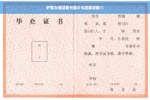 护照办理证明书图片与流程详解?✨
