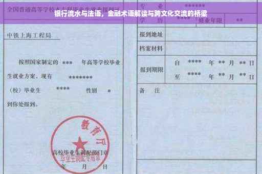 银行流水与法语，金融术语解读与跨文化交流的桥梁