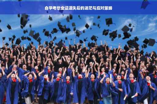 自学考毕业证遗失后的迷茫与应对策略