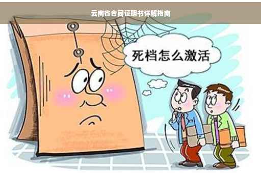 云南省合同证明书详解指南