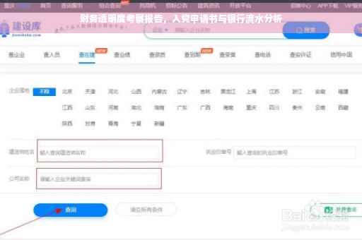 财务透明度考察报告，入党申请书与银行流水分析