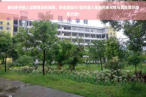 单位多开收入证明背后的真相、影响及探讨?探究收入来源的多元性与风险意识培养之道?