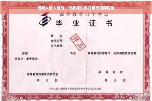 残疾人收入证明，挑战与机遇并存的道路探索
