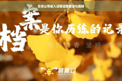 台资公司收入证明深度解读与揭秘