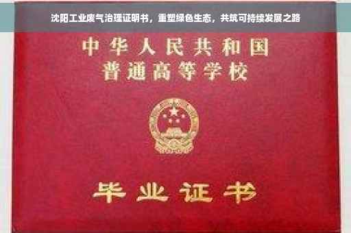 沈阳工业废气治理证明书，重塑绿色生态，共筑可持续发展之路