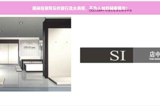 揭秘报销背后的银行流水真相，不为人知的秘密曝光！