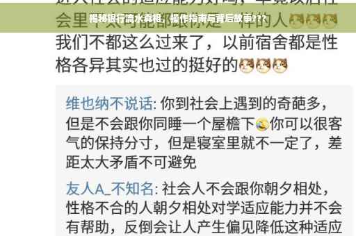 揭秘银行流水真相，操作指南与背后故事???
