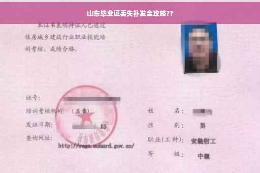 山东毕业证丢失补发全攻略??