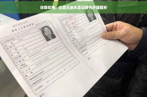 详细指南，出具兄弟关系证明书步骤解析