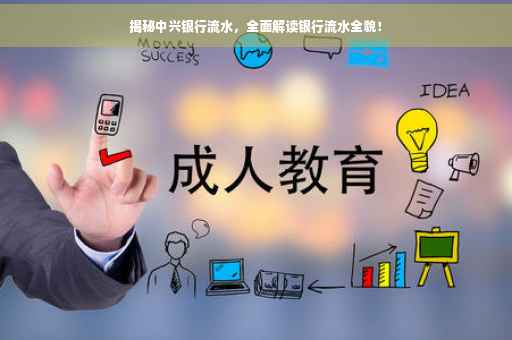 揭秘中兴银行流水，全面解读银行流水全貌！