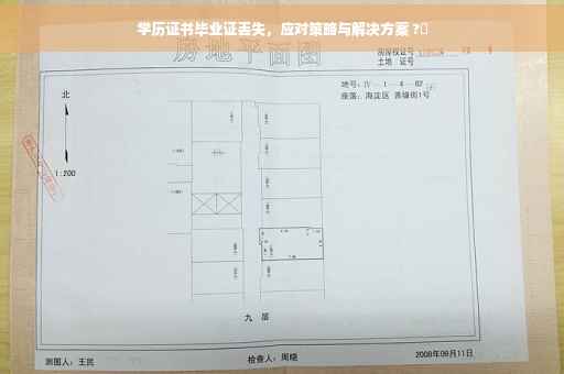 学历证书毕业证丢失，应对策略与解决方案 ?✨