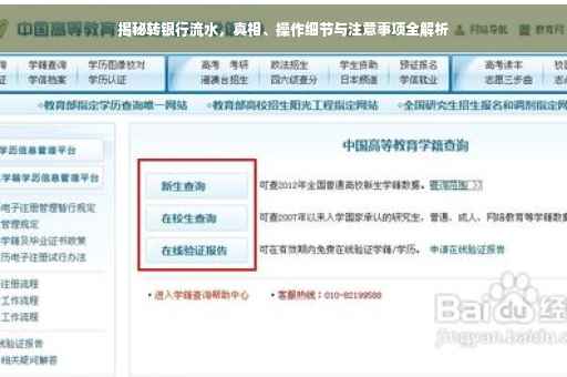 揭秘转银行流水，真相、操作细节与注意事项全解析