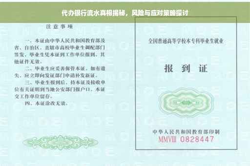 代办银行流水真相揭秘，风险与应对策略探讨