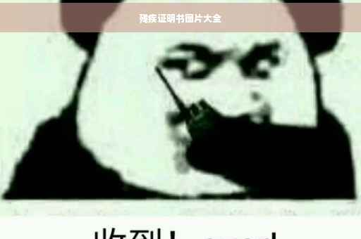 残疾证明书图片大全