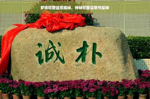 梦境犯罪谜团揭秘，神秘犯罪证明书探秘