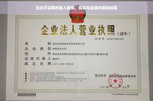 无法开证明的收入困境，现实与法律的复杂纠葛