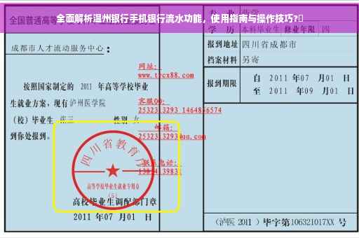 全面解析温州银行手机银行流水功能，使用指南与操作技巧?✨