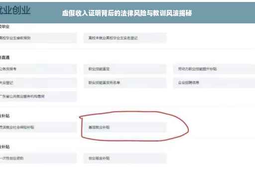 虚假收入证明背后的法律风险与教训风波揭秘