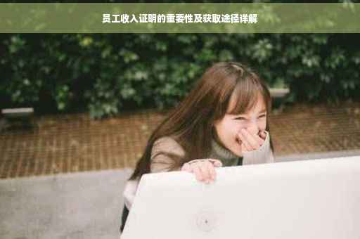 员工收入证明的重要性及获取途径详解