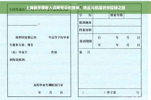 上海骑手晒收入证明背后的故事，挑战与机遇并存探秘之旅
