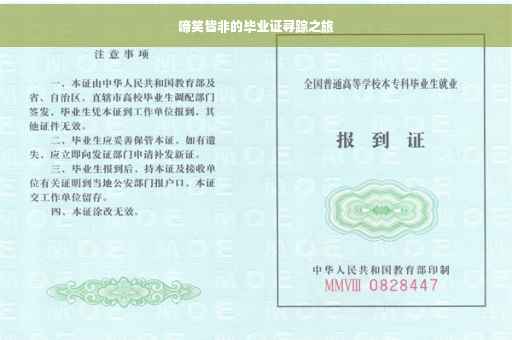 啼笑皆非的毕业证寻踪之旅