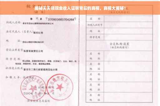 揭秘天天领现金收入证明背后的真相，真相大揭秘！