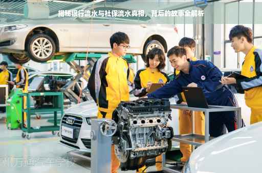 揭秘银行流水与社保流水真相，背后的故事全解析