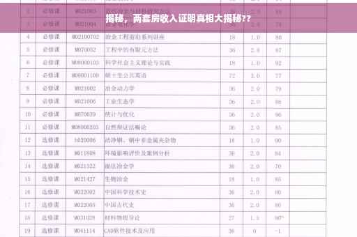 揭秘，两套房收入证明真相大揭秘??