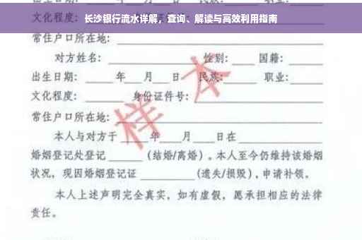 长沙银行流水详解，查询、解读与高效利用指南
