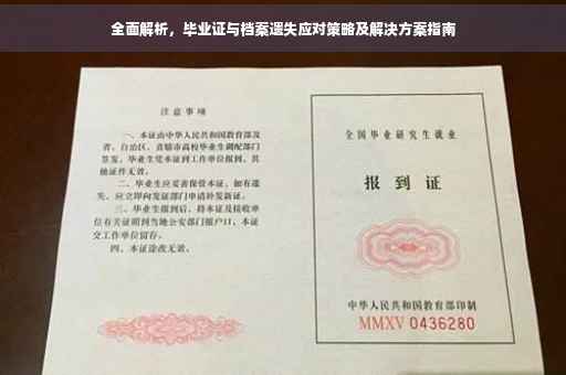 全面解析，毕业证与档案遗失应对策略及解决方案指南