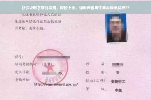 社保证明书查阅指南，轻松上手，详细步骤与注意事项全解析??