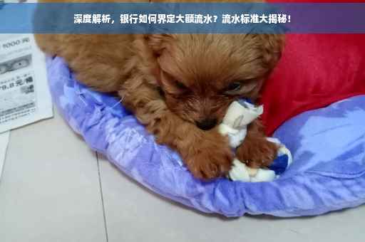 深度解析，银行如何界定大额流水？流水标准大揭秘！