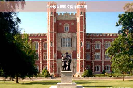 企业收入证明文件详解指南