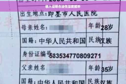 收入证明合法性深度解析