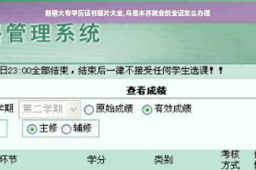 新疆大专学历证书图片大全,乌鲁木齐就业创业证怎么办理