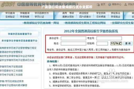 广发银行司法查询银行流水全解析