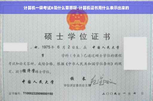 计算机一级考试B是什么意思呀-计算机证书用什么表示出来的