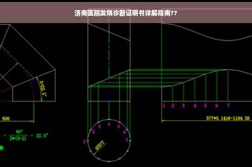 济南医院发烧诊断证明书详解指南??