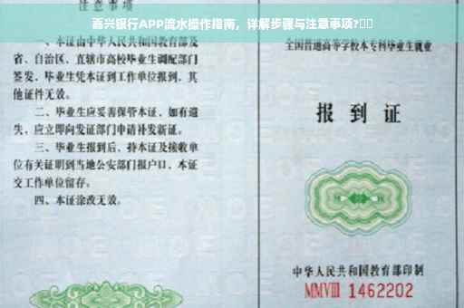 嘉兴银行APP流水操作指南，详解步骤与注意事项?⚡️