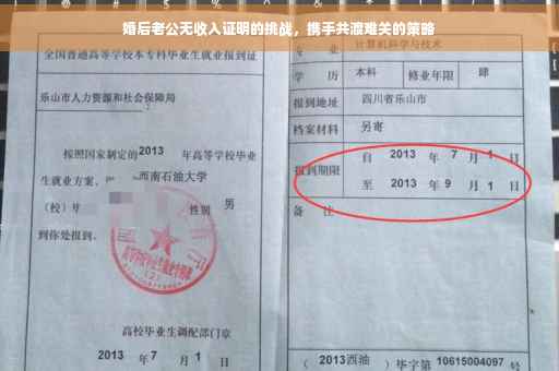 婚后老公无收入证明的挑战，携手共渡难关的策略