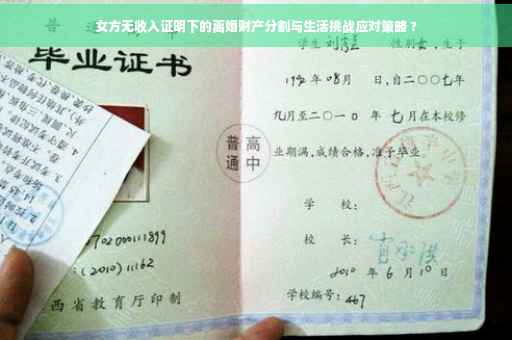 女方无收入证明下的离婚财产分割与生活挑战应对策略 ?