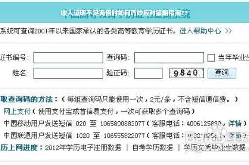 收入证明不足两倍时如何巧妙应对策略指南??