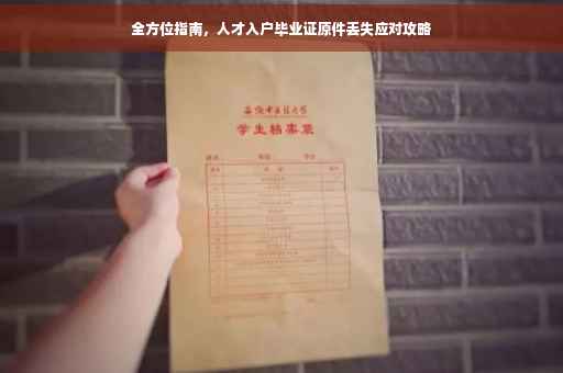 全方位指南，人才入户毕业证原件丢失应对攻略