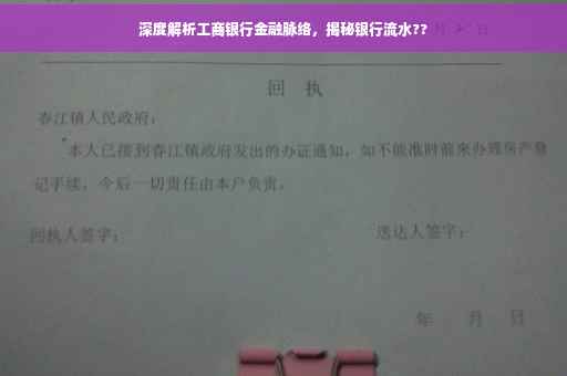 深度解析工商银行金融脉络，揭秘银行流水??