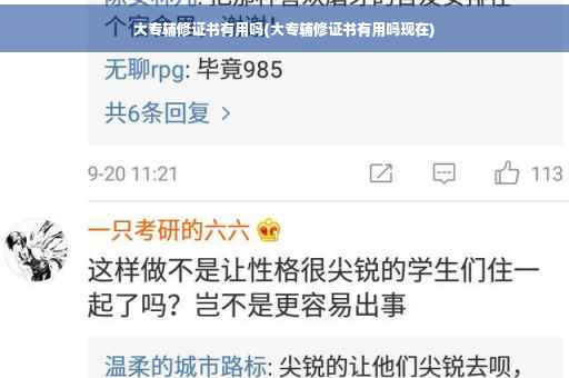 大专辅修证书有用吗(大专辅修证书有用吗现在)