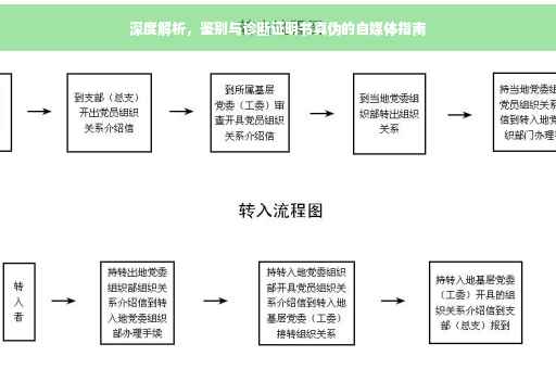 深度解析，鉴别与诊断证明书真伪的自媒体指南