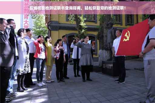 在线核酸检测证明书查询指南，轻松获取您的检测证明！